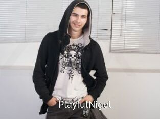 PlayfulNigel