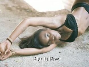 PlayfulPrey