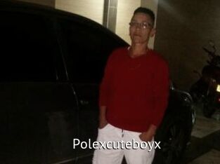 Polexcuteboyx