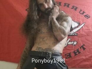 Ponyboy1981