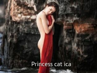 Princess_cat_ica