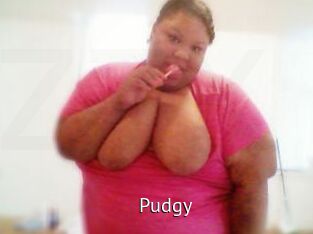 Pudgy