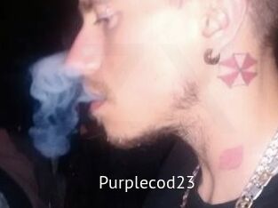 Purplecod23