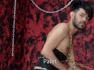 Palet