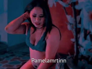 Pamelamrtinn