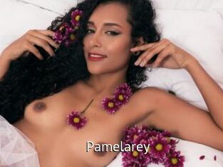 Pamelarey