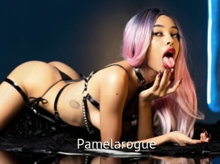 Pamelarogue