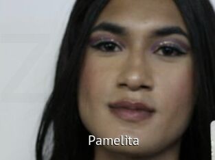 pamelita Zizi X