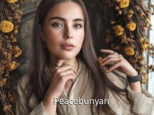 Peacebunyan