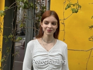 Peacefenning