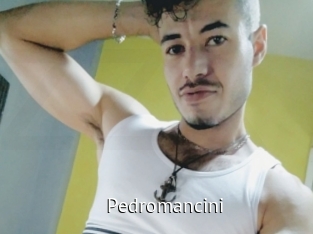 pedromancini Zizi X