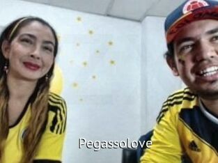 pegasso_love Zizi X