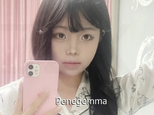 penegemma Zizi X
