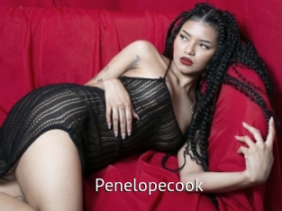 Penelopecook