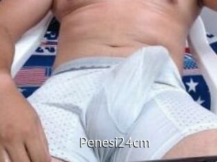 Penesi24cm