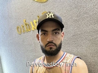 Pervertedboy7inch