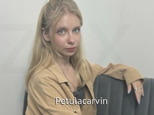 Petulacarvin