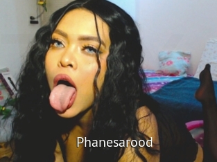 Phanesarood
