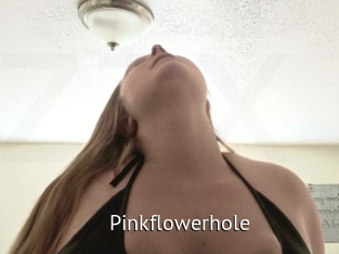 Pinkflowerhole