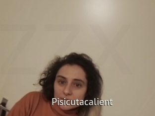 Pisicutacalient