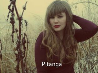 Pitanga