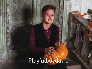 Playfulboydavid