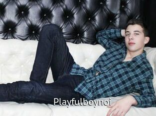 Playfulboynoi