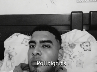 pollbigdick Zizi X