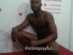 Pollonplayful
