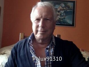 Polux91310