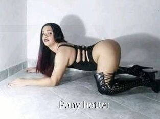 pony_hotter Zizi X