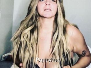 Poppybud
