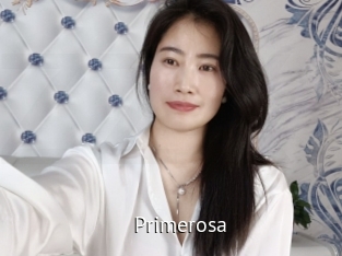 primerosa Zizi X