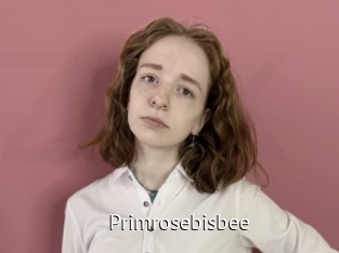 primrosebisbee Zizi X