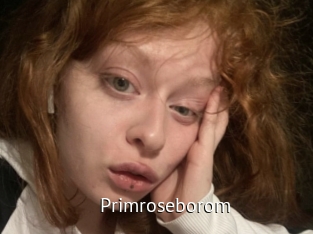 Primroseborom