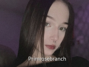 Primrosebranch