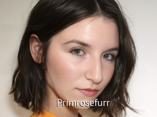 Primrosefurr