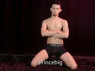 princebig Zizi X