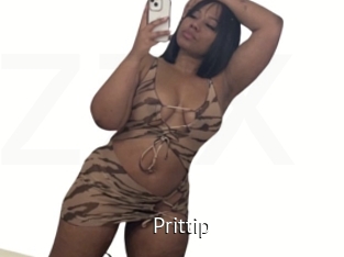 prittip Zizi X