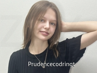 Prudencecodringt