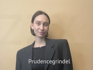 Prudencegrindel