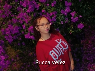 Pucca_velez