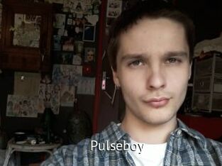 Pulseboy