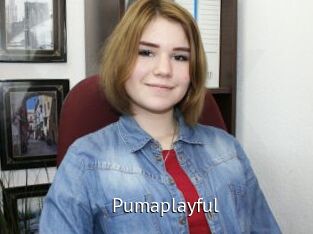 Pumaplayful