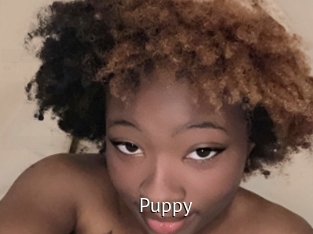Puppy