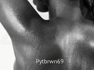 Pytbrwn69
