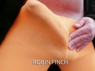 ROBIN_FINCH