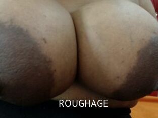 ROUGHAGE