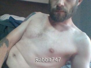 Rabbit747