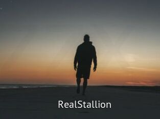 RealStallion